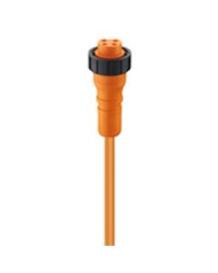 RK 30-01/2 M | 11173 | Cordset