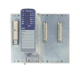 MICE MS20