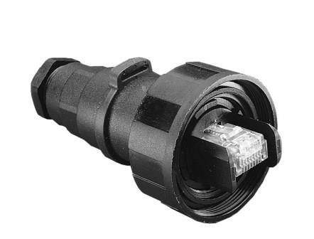 Standard Buccaneer - Ethernet Connector PX0834
